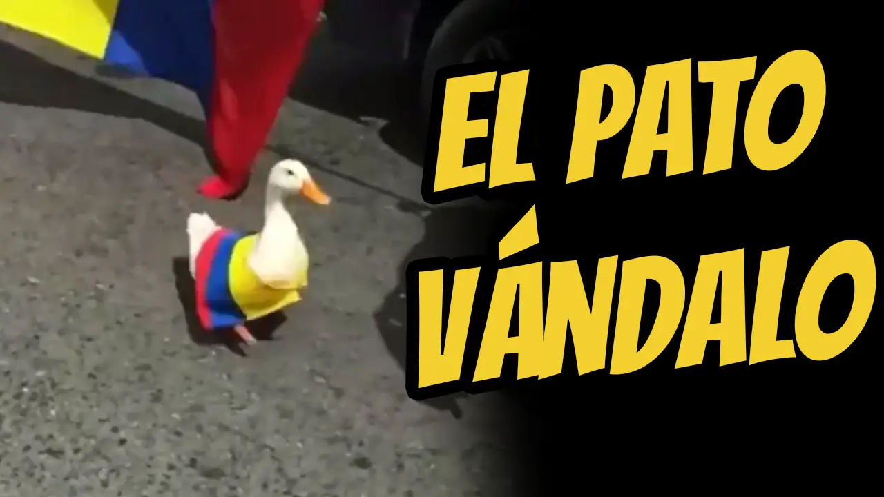 El pato vándalo